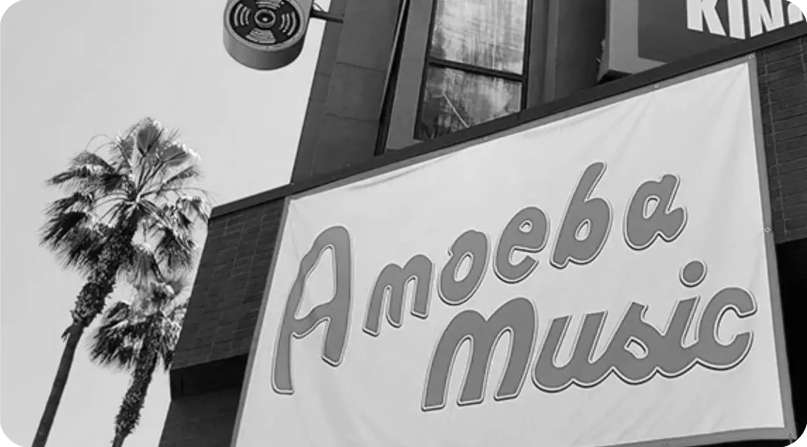 amoeba