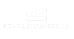 Festival Partner History